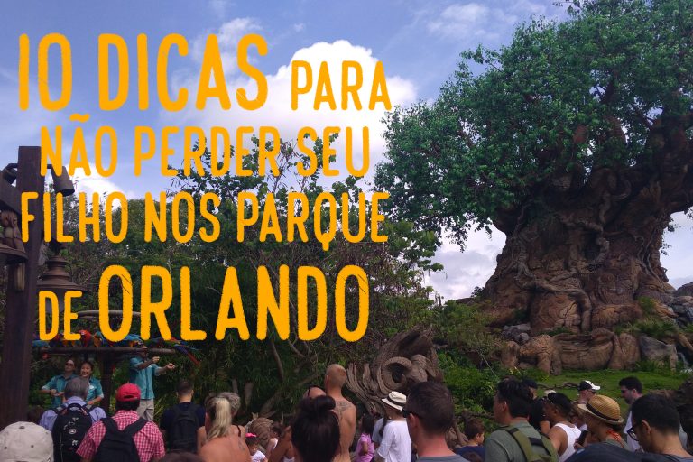 10 dicas de como não perder seu filho nas multidões dos parque de Orlando