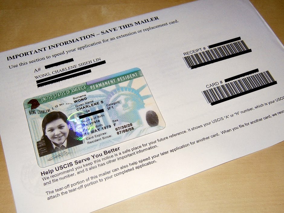 Timeline do meu Green Card: saiba tudo sobre meu processo imigratório